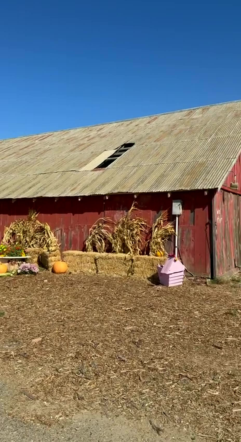 Zellers Farms